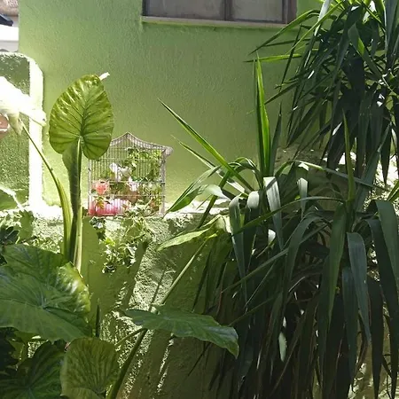 Φιλόξενο Σπίτι Στο Λουτράκι! Villa Exterior photo
